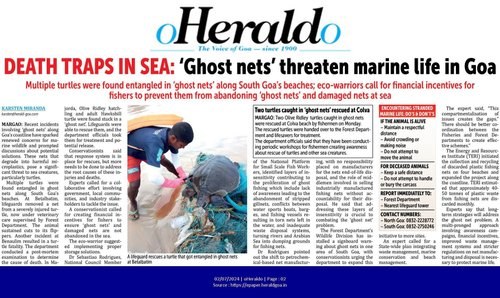 Marine stranding rescue