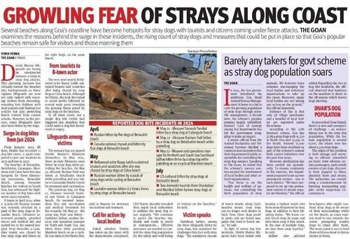 Stray dog bite cases on Goan beaches.