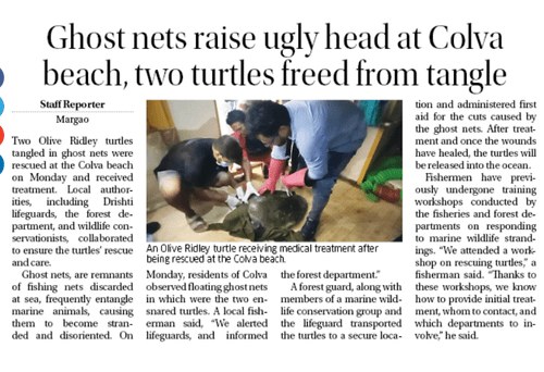 Marine stranding rescue on Goan beaches